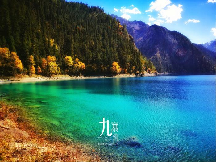 虫虫助手下载