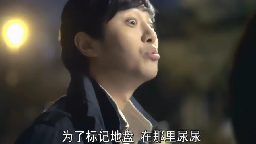 特朗普重提增收关税，市场应该担忧吗？